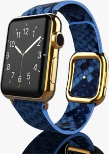 Gold Apple Watch 6 with Blue Python Strap