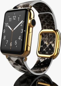 Gold Apple Watch 6 with Natural Python Strap
